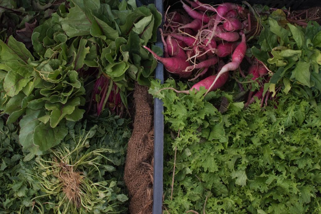 Traceability of products is still a major challenge in the food industry.