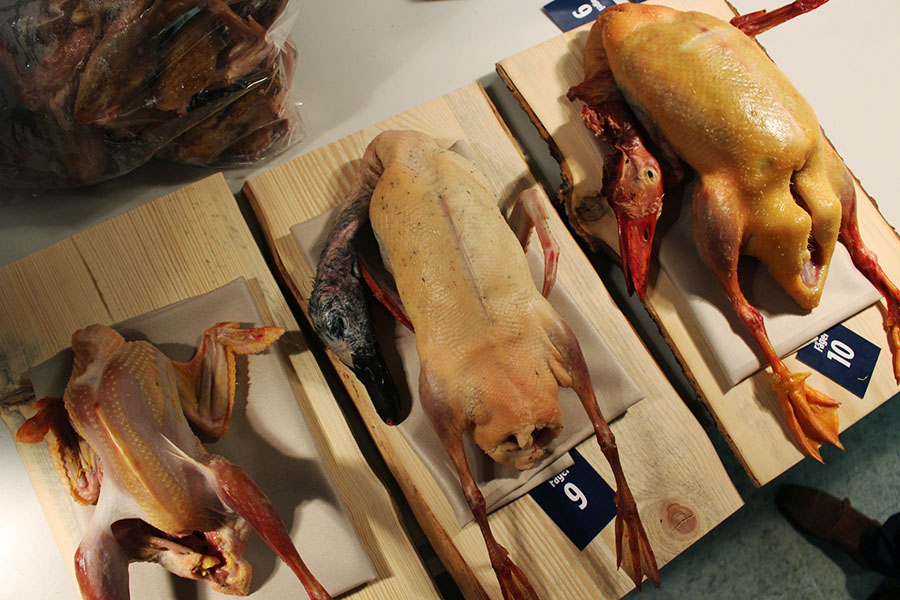 The best Swedish chefs blind test produce from the absolute top echelon of Swedish primary producers during the yearly Tasting Meeting.
