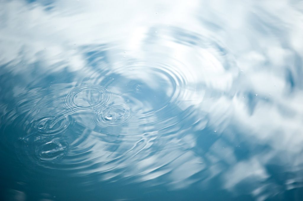 Axfoundation joined the cluster group for water and food at SIWI. (Foto: iStock.com/kickimages)