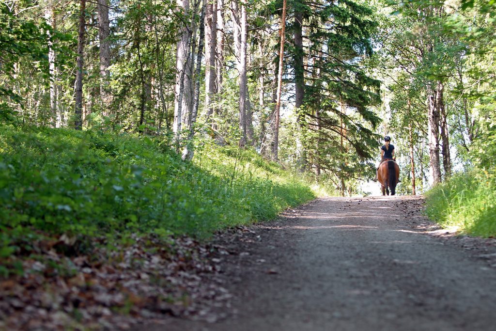 Equine sustainability is an earlier project supported by Axfoundation.