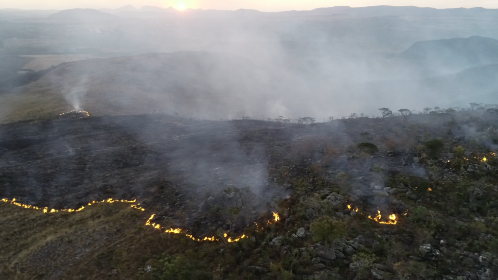 Den storskaliga odlingen av soja har expanderat på bekostnad av unika naturområden.